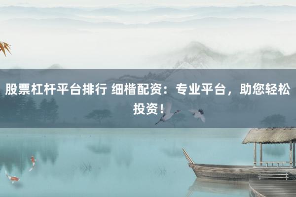股票杠杆平台排行 细楷配资：专业平台，助您轻松投资！
