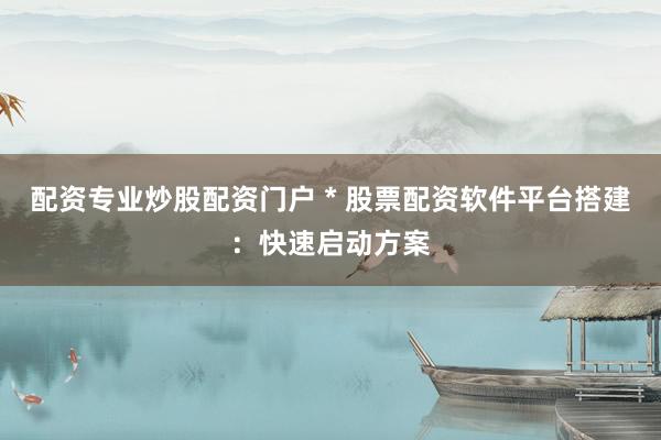 配资专业炒股配资门户 * 股票配资软件平台搭建：快速启动方案