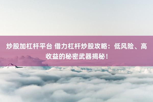 炒股加杠杆平台 借力杠杆炒股攻略：低风险、高收益的秘密武器揭秘！