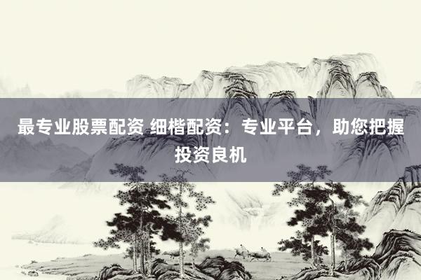 最专业股票配资 细楷配资：专业平台，助您把握投资良机