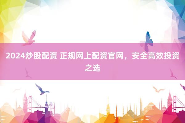 2024炒股配资 正规网上配资官网，安全高效投资之选