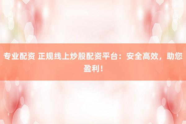 专业配资 正规线上炒股配资平台:安全高效,助您盈利!