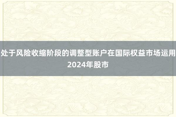 处于风险收缩阶段的调整型账户在国际权益市场运用2024年股市
