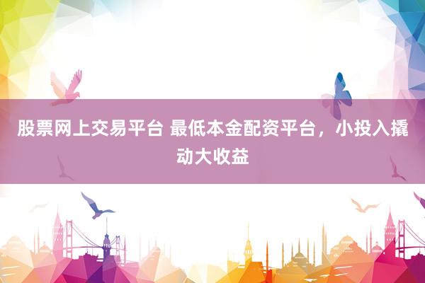 股票网上交易平台 最低本金配资平台，小投入撬动大收益