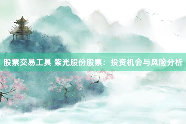 股票交易工具 紫光股份股票：投资机会与风险分析