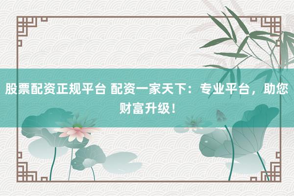 股票配资正规平台 配资一家天下：专业平台，助您财富升级！