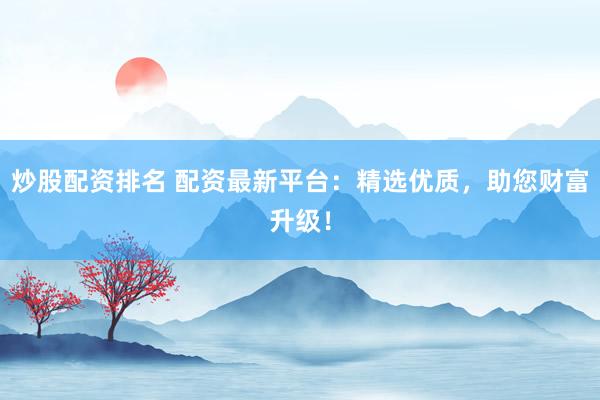 炒股配资排名 配资最新平台:精选优质,助您财富升级!