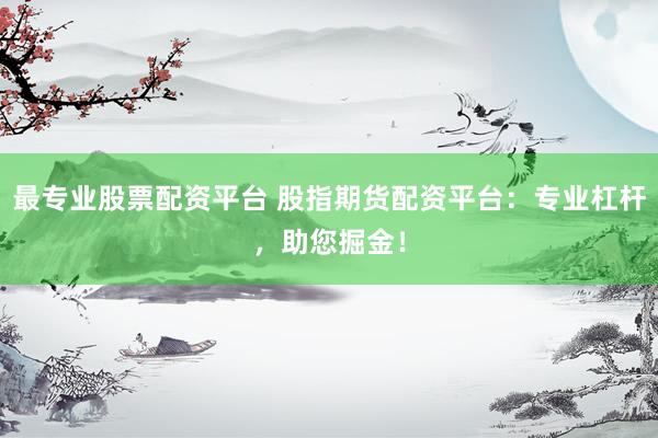 最专业股票配资平台 股指期货配资平台:专业杠杆,助您掘金!